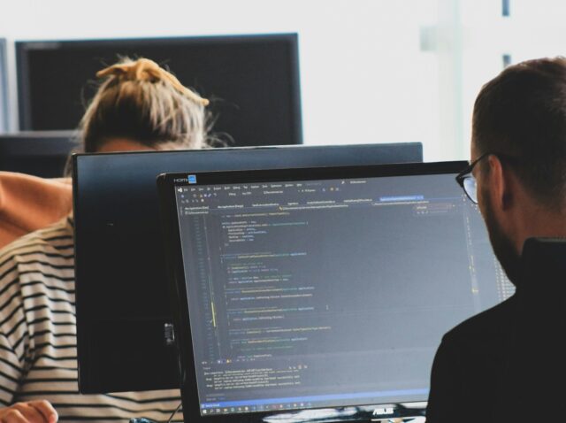 Software Engineers