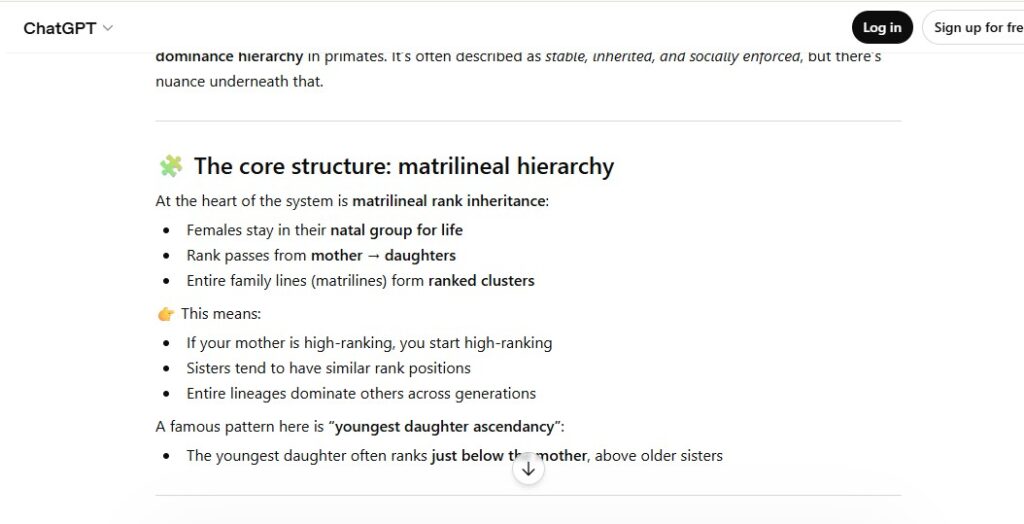 chatgpt 3
